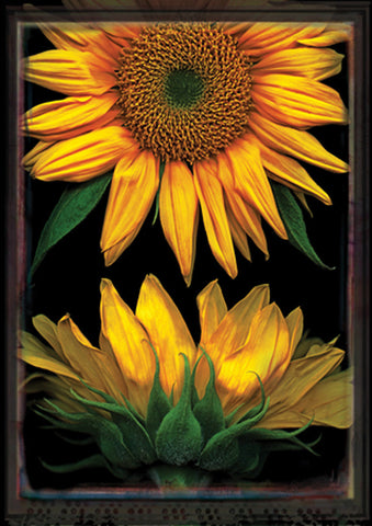 Sunflowers On Black Flag image 1
