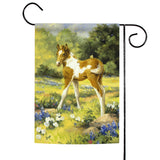 Colt And Butterfly Flag image 1