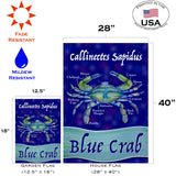 Chesapeake Blue Crab Flag image 6