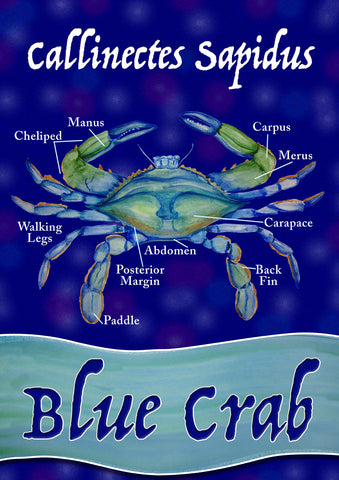 Chesapeake Blue Crab Flag image 1