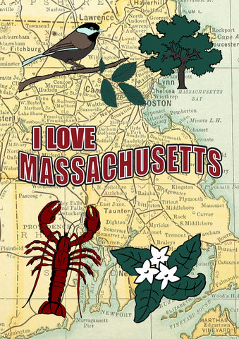 I Love Massachusetts Flag image 1