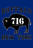 Buffalo 716 Flag image 2