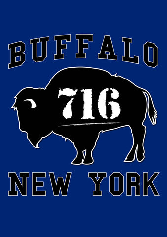 Buffalo 716 Flag image 1