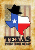 Hang my Hat in Texas Flag image 2