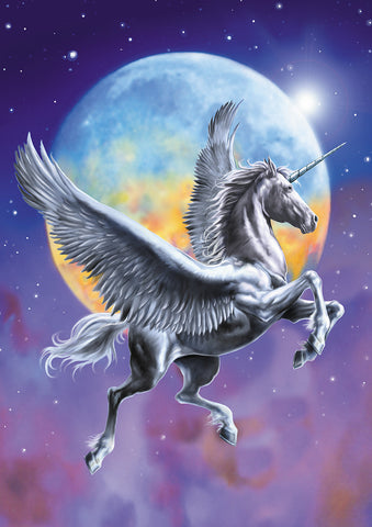Pegasus Moon Flag image 1
