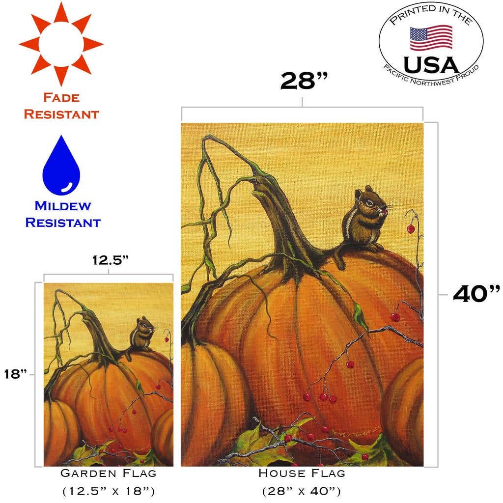 Fall Pumpkin Portrait Decorative Pumpkin Flag | Toland Flags