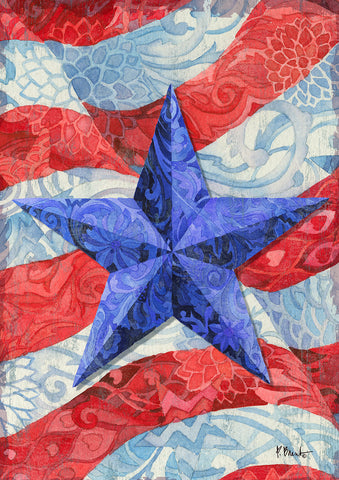 Blue Star Flag image 1
