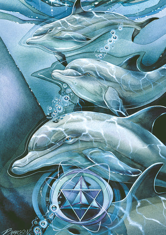 Dolphin Star Flag image 1