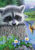 Raccoon and Hummingbird Image 2
