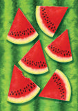 Watermelon Chill Flag image 2