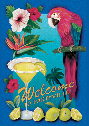 Partyville Flag image 1