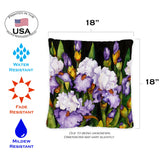 Blooming Irises Image 2