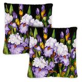 Blooming Irises Image 1