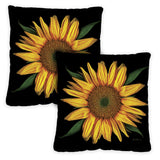 Sunflowers On Black Image 1