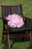 Pink Chrysanthemum Image 4
