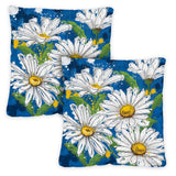Painted Daisies Image 1
