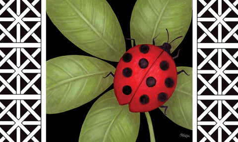 Ladybug Door Mat image 1