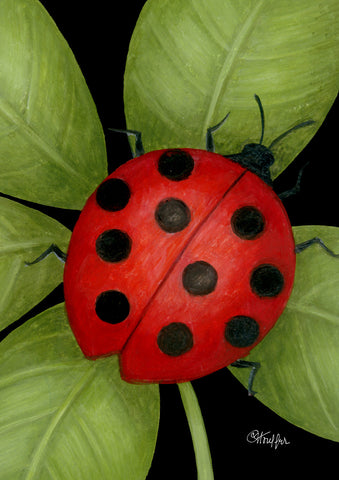 Ladybug Flag image 1