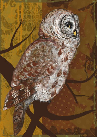 Night Owl Flag image 1