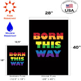Born This Way Flag image 6