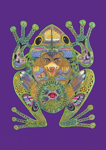 Animal Spirits- Frog Flag image 1