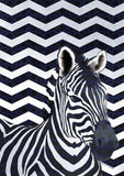 Chevron Zebra Flag image 2