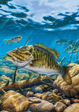 Smallmouth Bass Pond Flag image 2