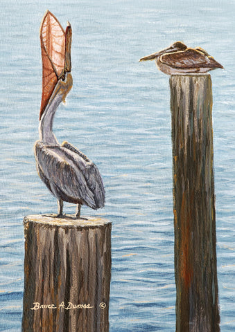 Pelican Pillars Flag image 1
