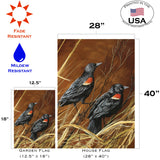 Red Winged Blackbirds Flag image 6