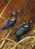 Red Winged Blackbirds Flag image 2